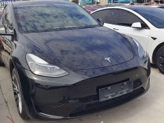 Tesla Model Y Rear-Wheel Drive - ფოტო 3