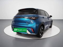 BYD Dolphin 405km Fashion Edition - ფოტო 4