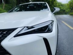 Lexus UX 260h Exploration & Interest Edition - ფოტო 14