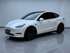 Tesla Model Y Rear-Wheel Drive - ფოტო 1