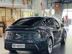 Tesla Model Y Rear-Wheel Drive Launch Edition - ფოტო 9