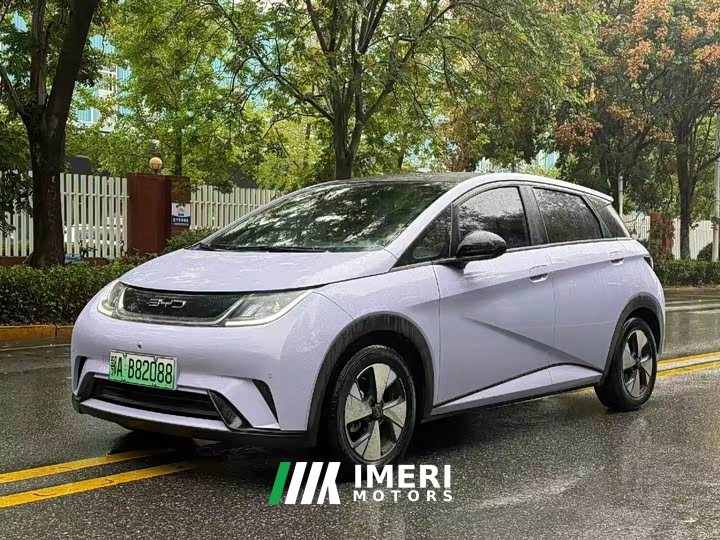 BYD Dolphin 420km Fashion Edition - ავტომობილი ჩინეთიდან