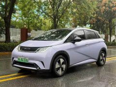 BYD Dolphin 420km Fashion Edition - ფოტო 1