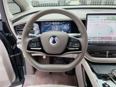 Denza D9 DM-i 970 AWD Premium Edition - ფოტო 15