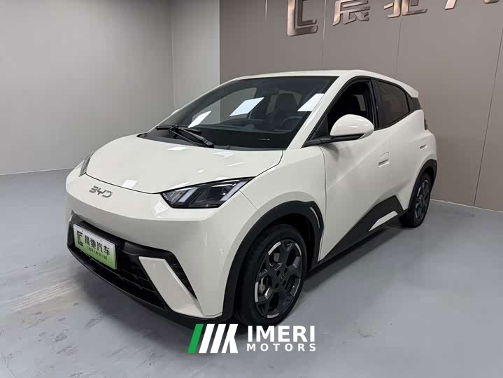 BYD Seagull 305km Freedom Edition