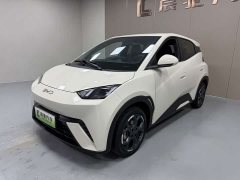 BYD Seagull 305km Freedom Edition - ფოტო 1
