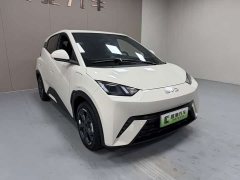 BYD Seagull 305km Freedom Edition - ფოტო 3