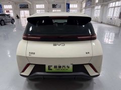 BYD Seagull 305km Freedom Edition - ფოტო 5