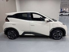 BYD Seagull 305km Freedom Edition - ფოტო 7