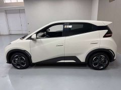 BYD Seagull 305km Freedom Edition - ფოტო 8