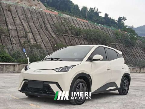2024 BYD Seagull Vitality Edition