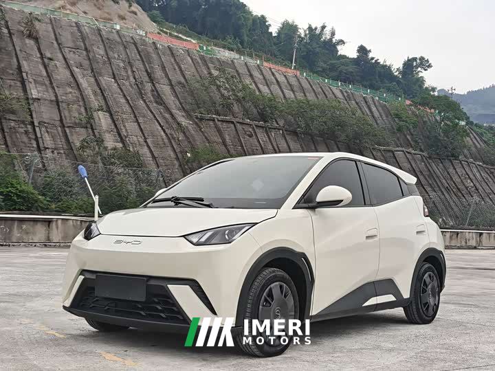 BYD Seagull Vitality Edition