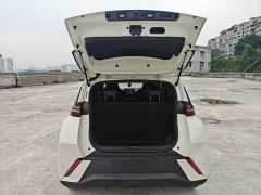 BYD Seagull Vitality Edition - photo 18