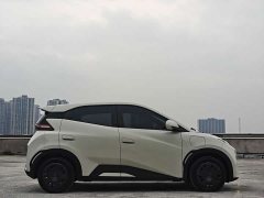 BYD Seagull Vitality Edition - photo 2