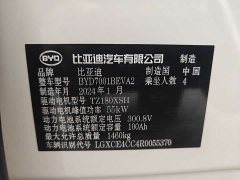 BYD Seagull Vitality Edition - photo 20