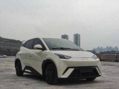 BYD Seagull Vitality Edition - photo 4