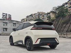 BYD Seagull Vitality Edition - photo 5