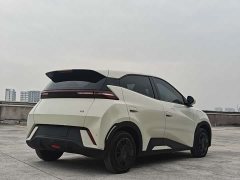BYD Seagull Vitality Edition - photo 6