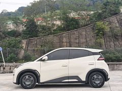 BYD Seagull Vitality Edition - photo 9