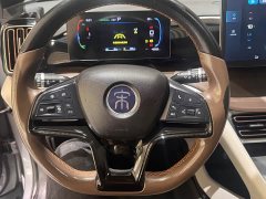 BYD Song Pro New Energy DM-i 51km Premium - ფოტო 11