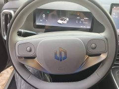 Leapmotor B01 650 Pleasure Edition - ფოტო 15
