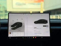 Tesla Model Y L Long Range All-Wheel Drive - ფოტო 5