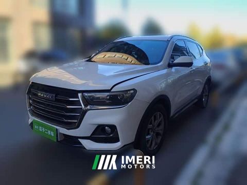 2023 Haval H6 National Trend 1.5T Automatic Champion Edition