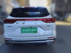 Haval H6 National Trend 1.5T Automatic Champion Edition - ფოტო 5