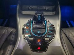 BYD Seal Champion Edition 550km Luxury - ფოტო 9