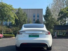 Tesla Model 3 Rear-Wheel Drive - ფოტო 11
