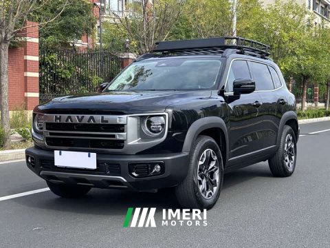 2025 Great Wall Dachshund 2.0T DCT Chinese Rural Dog Edition - ავტომობილი ჩინეთიდან