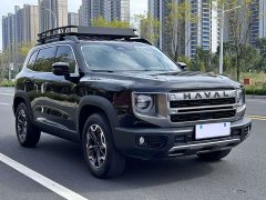 Great Wall Dachshund 2.0T DCT Chinese Rural Dog Edition - ფოტო 3
