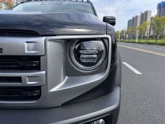 Great Wall Dachshund 2.0T DCT Chinese Rural Dog Edition - ფოტო 9
