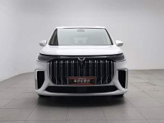 Voyah Lantu Dreamchaser Low Carbon Edition Family - ფოტო 3