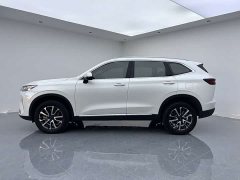 Haval H6 Third Generation 1.5T Automatic Two-Wheel Drive Max - ფოტო 15
