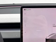 Tesla Model 3 Rear-Wheel Drive - ფოტო 20