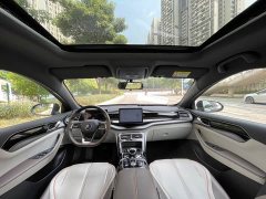 BYD Qin PLUS Champion Edition DM-i 55KM Exceed - ფოტო 9
