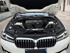 BMW 5 Series 530Li Premier Luxury Package - ფოტო 14