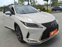 Lexus RX Facelift 300 AWD Elegance - ფოტო 2