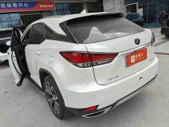 Lexus RX Facelift 300 AWD Elegance - ფოტო 7