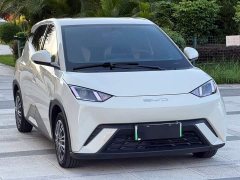 BYD Seagull Vitality Edition - ფოტო 3