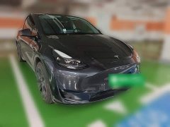 Tesla Model Y Rear-Wheel Drive - ფოტო 3