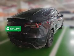 Tesla Model Y Rear-Wheel Drive - ფოტო 6