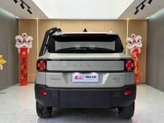 Jetour Jietu Liberator 2.0TD XWD Conquest - ფოტო 4