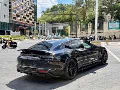 Porsche Panamera 2.9T Platinum Edition - ფოტო 5