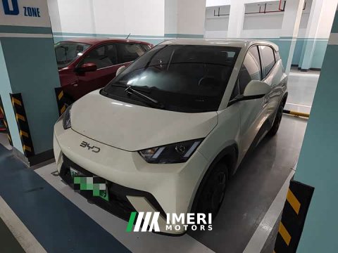 2025 BYD Seagull 305km Vitality Edition - ავტომობილი ჩინეთიდან