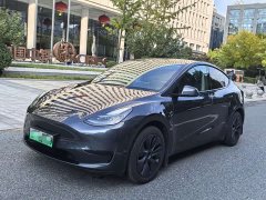 Tesla Model Y Rear-Wheel Drive - ფოტო 1