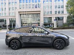 Tesla Model Y Rear-Wheel Drive - ფოტო 6