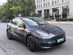 Tesla Model Y Rear-Wheel Drive - ფოტო 7