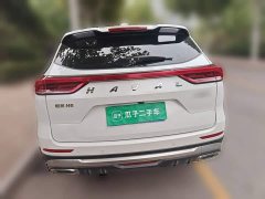 Haval H6 National Trend Edition 1.5T Automatic Urban Version - ფოტო 5